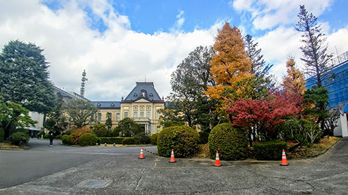 京都府庁旧本館の紅葉